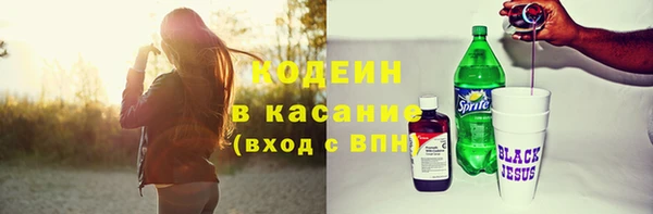 индика Киренск