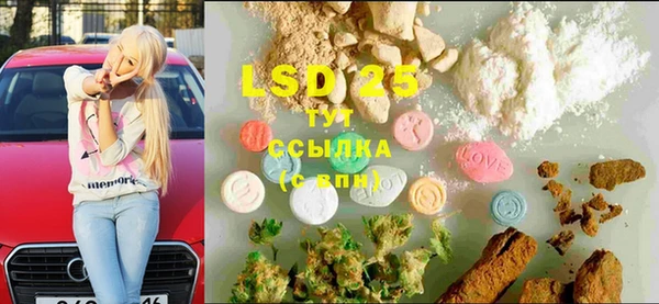индика Киренск