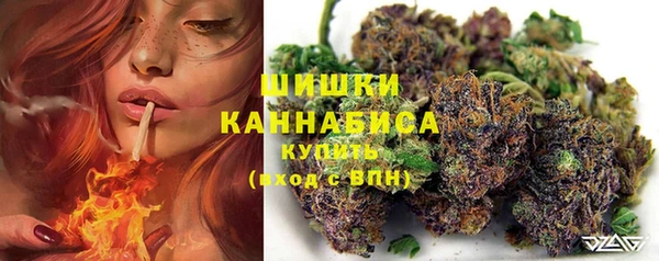 индика Киренск