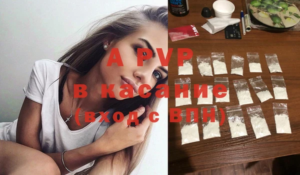 индика Киренск