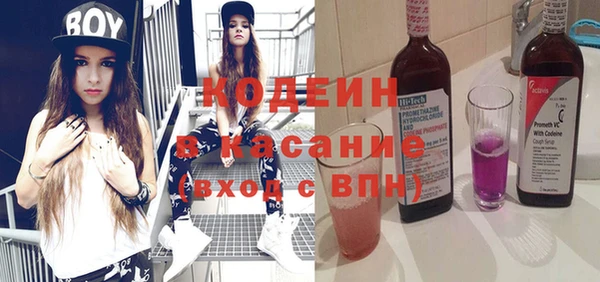 индика Киренск