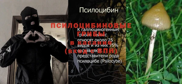 гашик Киреевск